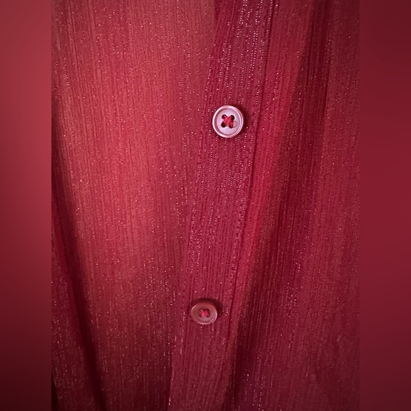 Express Burgundy Sheer Button-Up Blouse - Picture 6 of 6